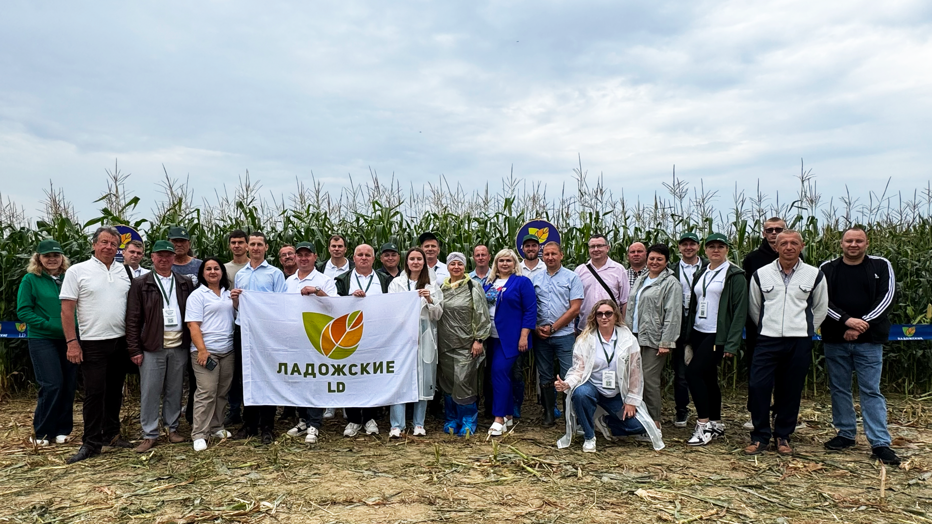 День Поля. Гибриды кукурузы "Ладожские" в ОАО "Гастеловское"