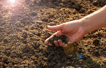 Почвогрунт и его особенности