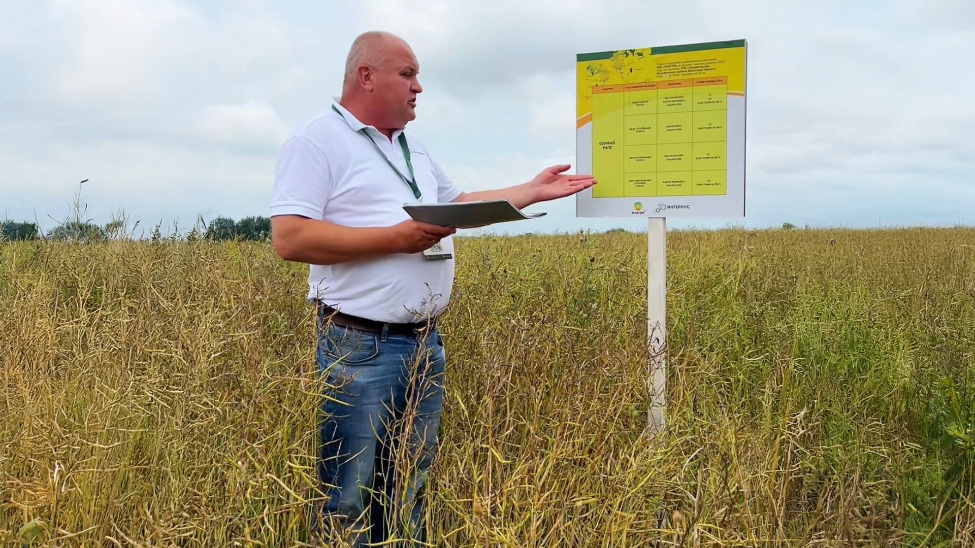 День Поля. Рапс в посадках СПК «Ляховичский»