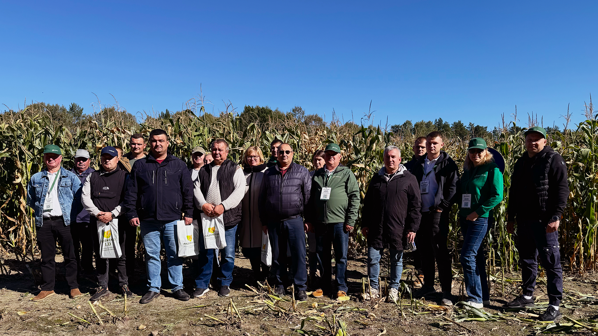 День Поля. Гибриды кукурузы "Ладожские" в ОАО  "Заря-Агро"