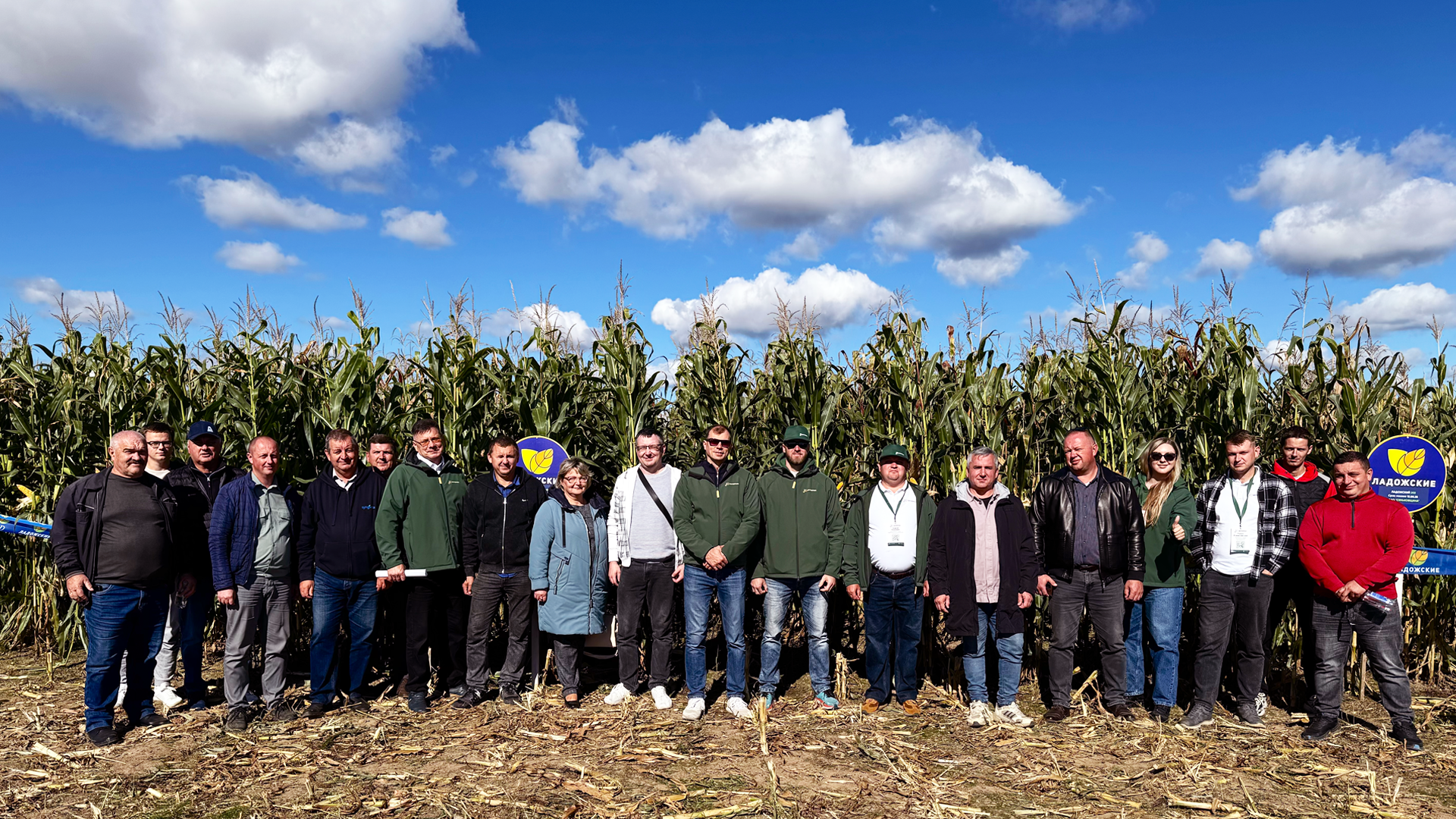 День Поля. Гибриды кукурузы "Ладожские" в ОАО "Сеньковщина"