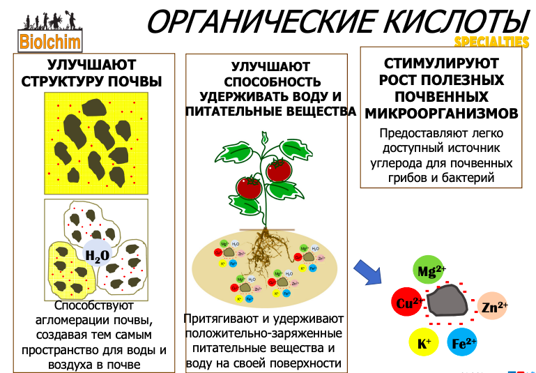 Снимок экрана 2023-03-15 в 23.55.33.png