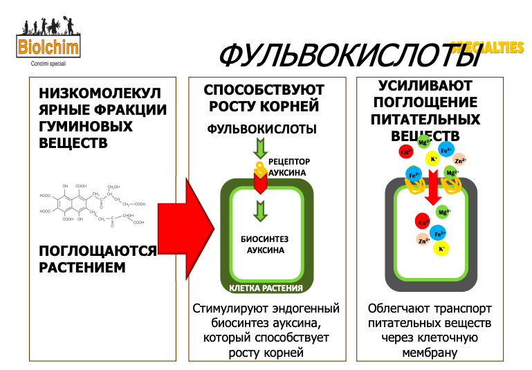 Снимок экрана 2023-03-15 в 23.55.43.png