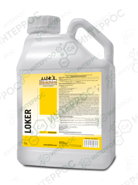 Локер (LOKER)