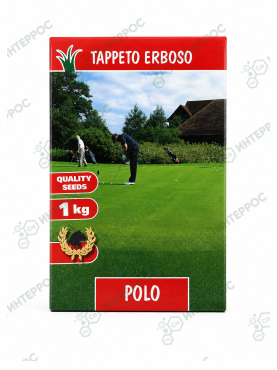 Семена газонных трав Мини (Polo)