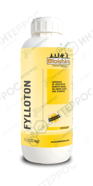 Филлотон (FYLLOTON) 