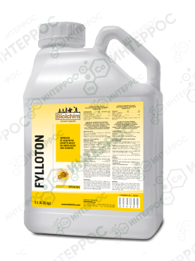 Филлотон (FYLLOTON)