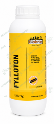 Филлотон (FYLLOTON) 